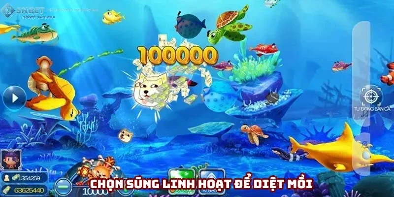 Tận dụng kho vũ khí bắn cá Shbet cung cấp để diệt mồi
