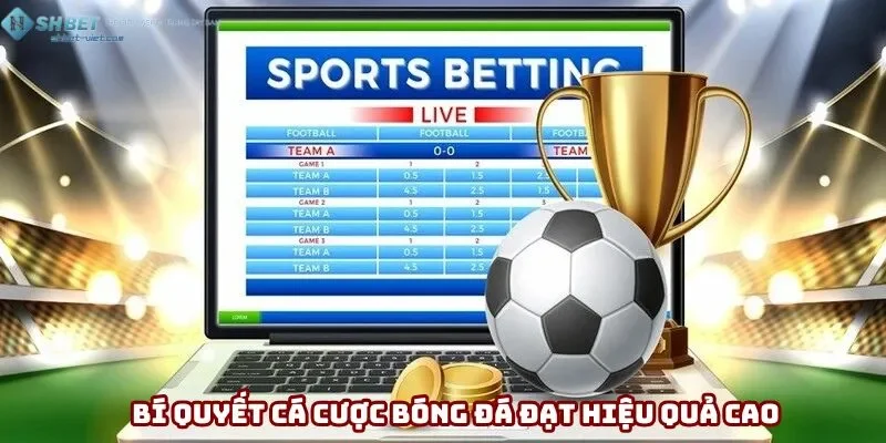 Bí quyết cá cược bóng đá thành công nhất