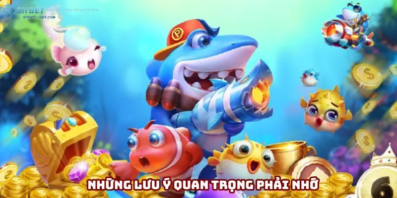 Những lưu ý quan trọng phải nhớ