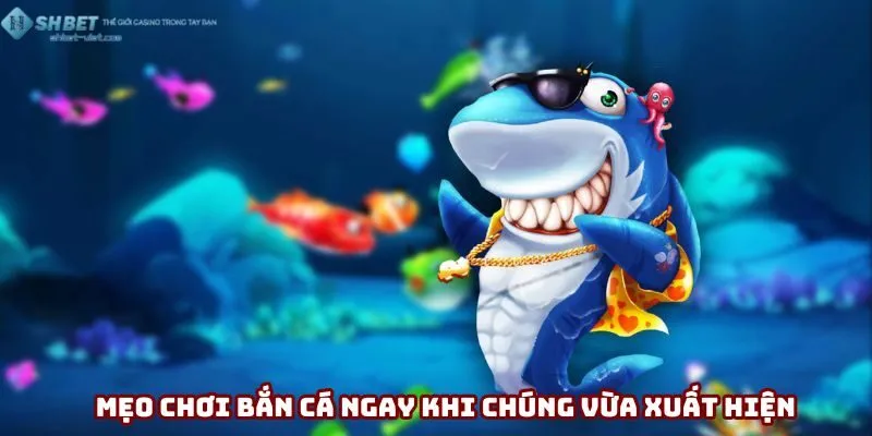 Mẹo chơi bắn cá ngay khi chúng vừa xuất hiện