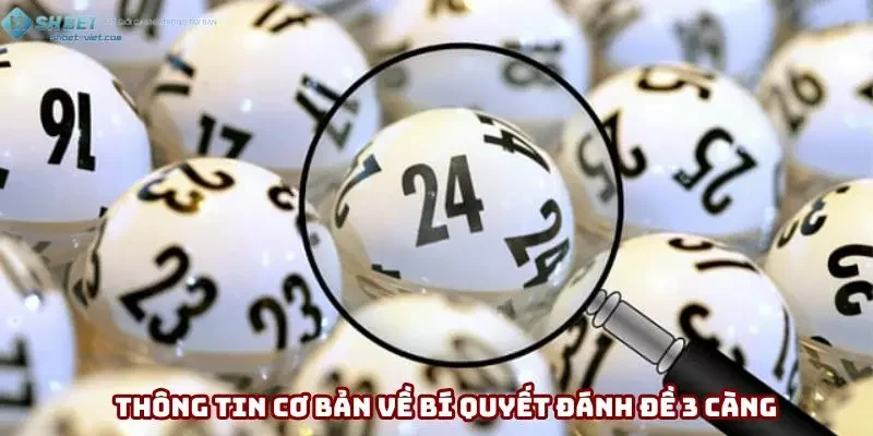 Thông tin khái quát về bí quyết đánh đề 3 càng