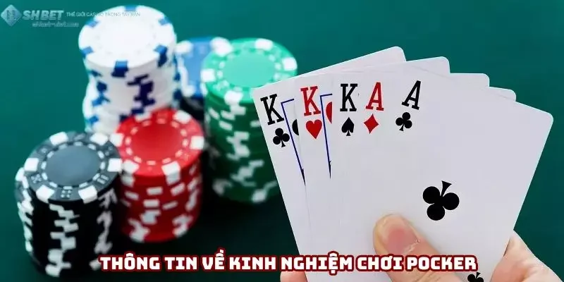 Thông tin khái quát về kinh nghiệm chơi pocker Thông tin khái quát về kinh nghiệm chơi pocker