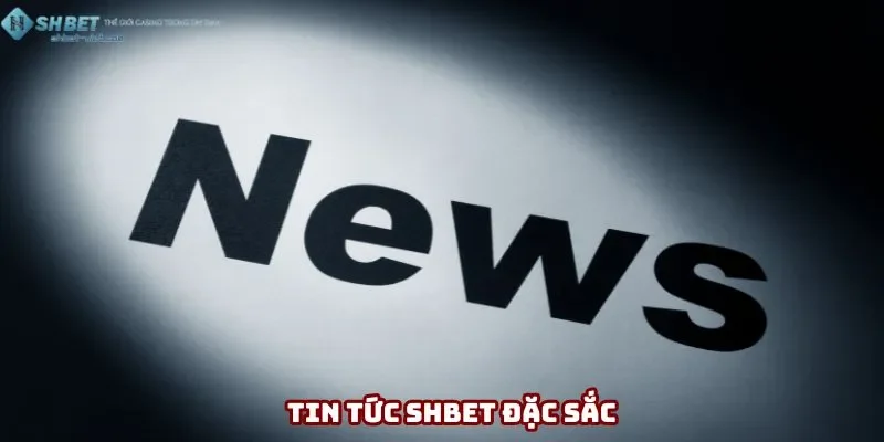 Chuyên mục đặc sắc khiến bạn không thể bỏ lỡ